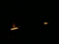 5 - Chantal Kreviazuk, Capitol Theatre, Moncton, This Life, My Hometown