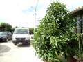videos de CASA FLANDES BERNARDO 3
