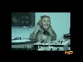 Basement Jaxx - Where\ Basement Jaxx - Where\