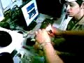 Pure Stupidity - A Firework Story Pure Stupidity - A Firework Story