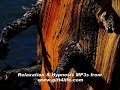 free-destress-relaxation-video