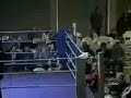bokser kretyn / stupid boxer :)