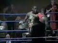 bokser kretyn / stupid boxer :)