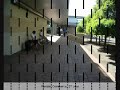 CDU Student Consultation Negative Library Spaces