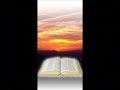 Important Healing Lessons - Part Two 2/4 - Marilyn Neubauer - englisch/german