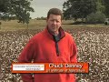 Cotton Module Picker