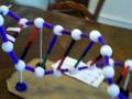 videos de Zach's DNA Project