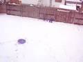 Snowball fight