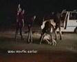 2pac agresser par la police,