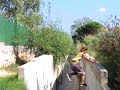 Ostia de brazos de polin Ostia de brazos de polin