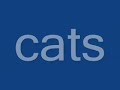 Cute cats
