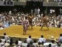 Comedy Sumo