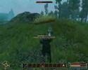 Gothic 3: Orkowy Patrol i Agresywne Dziki