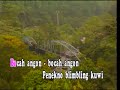 lagu ilr ilr
