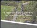 white trash chptr 4 w/ C Cressman & K Collins