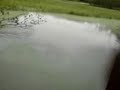 Also dau wara ma amol bei nar Staumaua am Leach dunda und hond a paar Pirata dabei kett...
