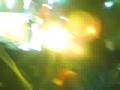 Assistir ao v�deo