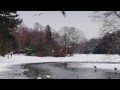 Winter day in Kungsparken in Malmö, Sweden