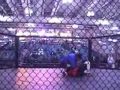 Sambo Demonstration