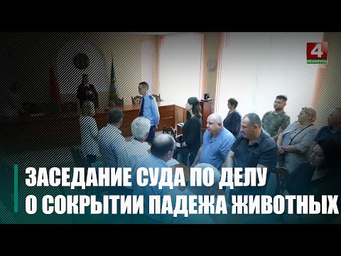 У Гомельскім райвыканкаме адбылося выязное пасяджэнне суда па справе аб утойванні склону жывёл видео