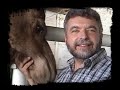 Marcos y su amigo camello Marcos y su amigo camello