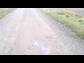 Click here to watch this video Nitrat Böller