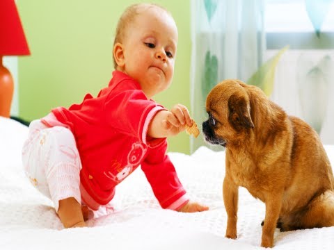 Preventing Childhood Allergies (Conditions AZ)
