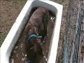 Lunar in the bath