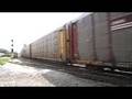 NS 8863 Leads NS 288, Autorack, w/ Nice Crew at North Dalton
