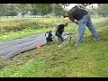 Willis Run Restoration Living Classroom Project Part 1 Willis Run Restoration Living Classroom Project Part 1
