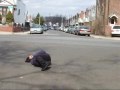 How to be a skate poser