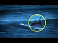 5 Mermaids Caught On Camera & Spotted In Real