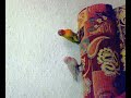فشر كروان طيور حب الرومانسيه