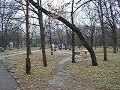 The Near Dnieper Park The Near Dnieper Park