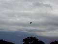 videos de F22 Raptor practice display at Fairford part 1