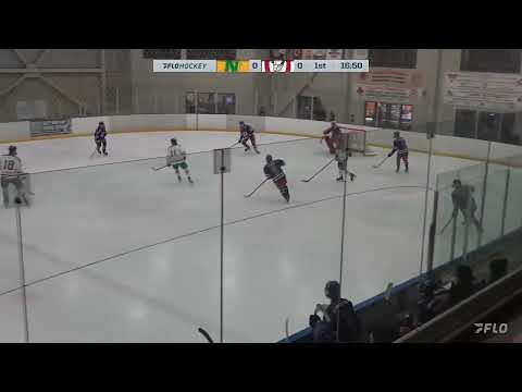 #18 Mattias Schoffner, Check out this unreal saucer pass to his teammate for a break on goal