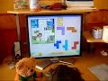 playing puzzle