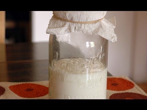 Bacterias en la dieta del Triatleta