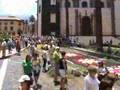 Alfombras La Orotava 2008 Corpus Christi