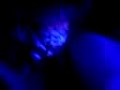 Anathema