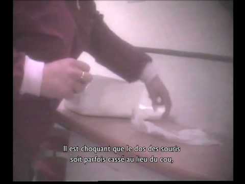 Image de prévisualisation YouTube
