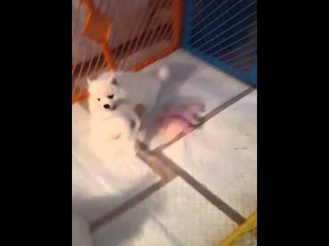 Eddy and friendsat play