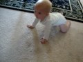 Genevieve's first day crawling #3