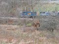 CSX near Hopewell, W.Va.