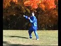 HUNYUAN TAIJIQUAN CLIP