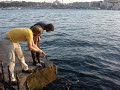 Fishy goes for a walk