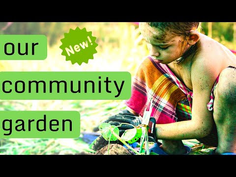 Gauranga Gardens- A new life is coming! Gauranga Gardens- A new life is coming!