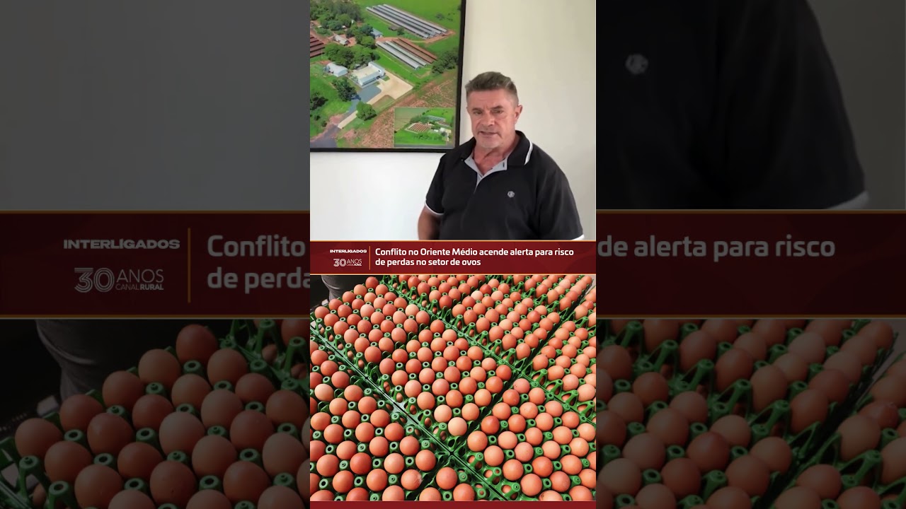 Conflito no Oriente Médio acende alerta para risco de perdas no setor de ovos