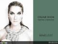 celine dion world tour 2008/2009