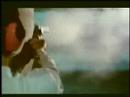 Taxi Driver - Taxi Driver - Flixster Video